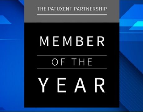 Member of Year