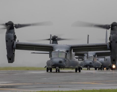 Osprey