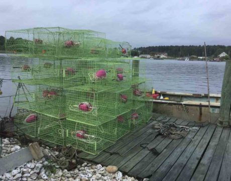 Crabbing