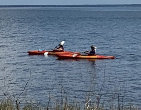 Kayak