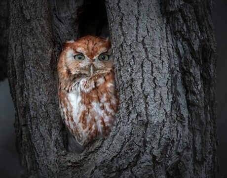 DNR Photo Contest