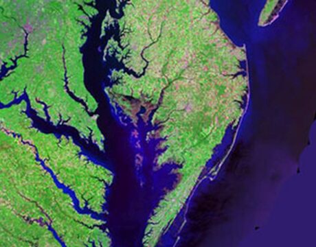 Bay Act Webinar