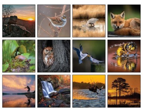 Photo Contest