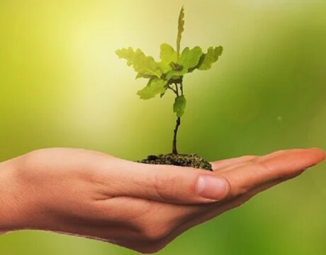 Earth Day