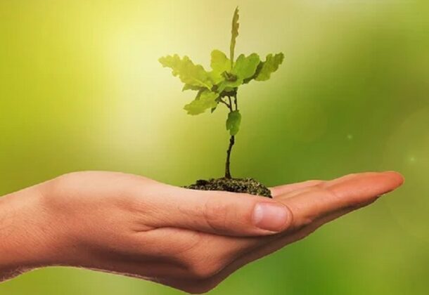 Earth Day