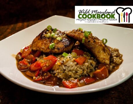 Cookbook