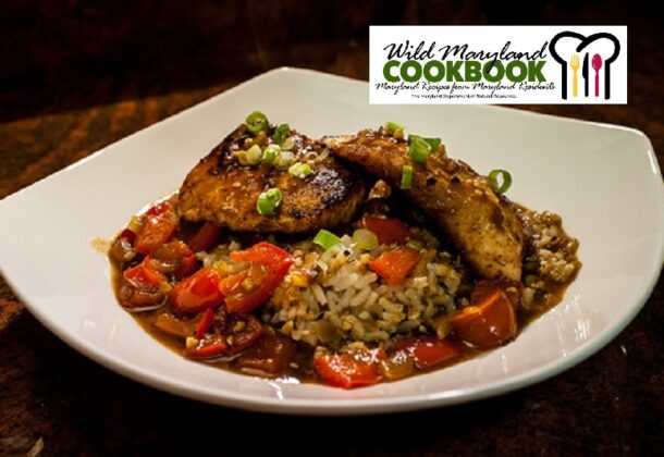 Cookbook
