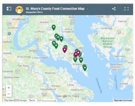 Food Connection
