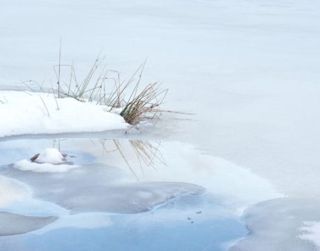 hiring freeze