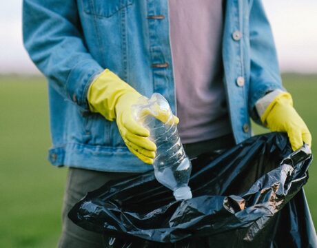 Cleanup