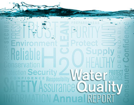 water quality report