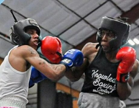 Knowledge Boxing