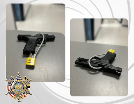 Firearm Safety