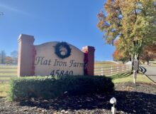 Flat Iron Farm