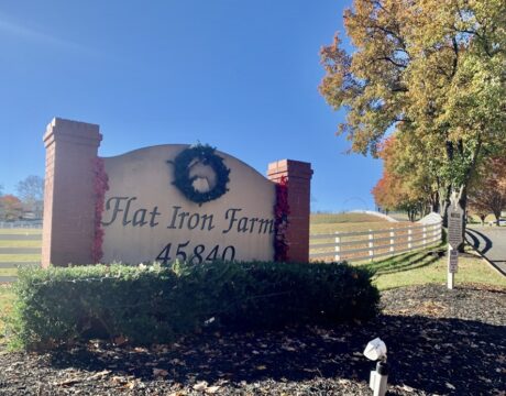 Flat Iron Farm