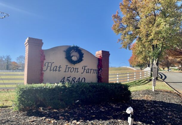 Flat Iron Farm
