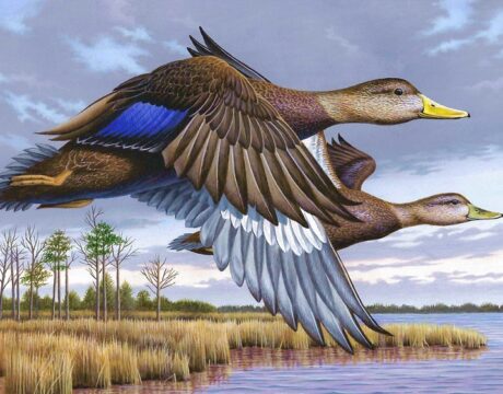 Bird Stamp