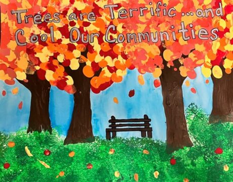 Arbor Day