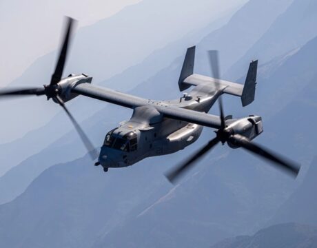 Osprey