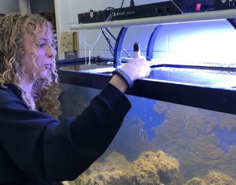 Water Quality