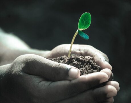Earth Day