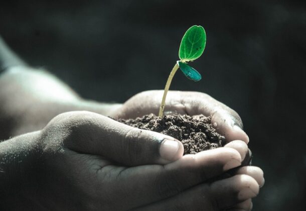 Earth Day