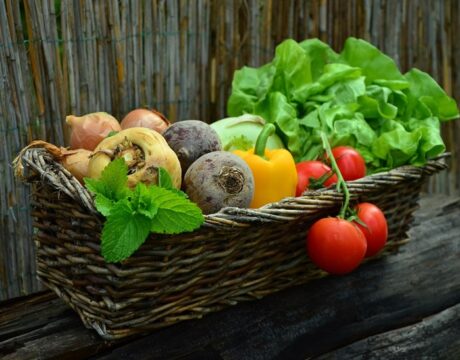Food Safety