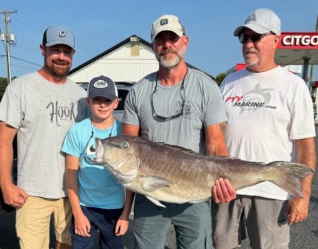 Tilefish