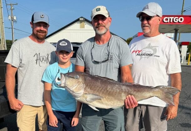 Tilefish