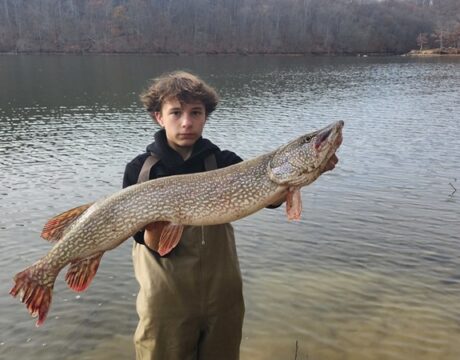 Angler