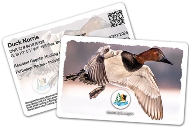 Waterfowl