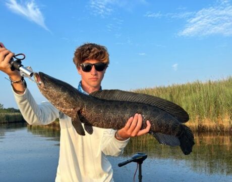 FishMaryland