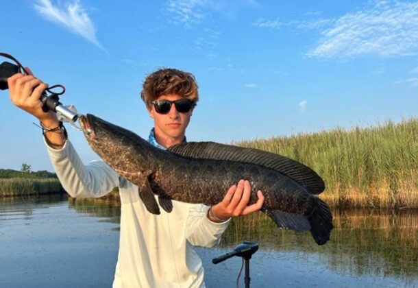 FishMaryland