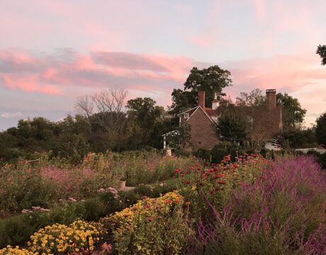 Sunset at Sotterley