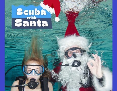 Santa