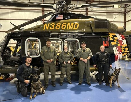 K-9