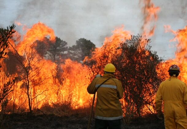 Fire