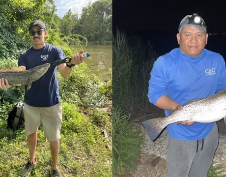 FishMD