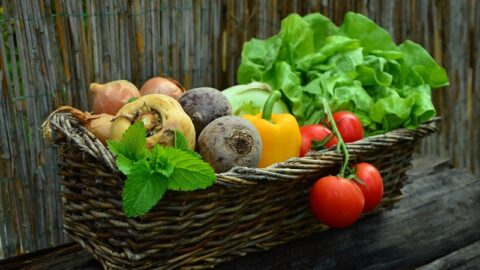 Chronic Disease