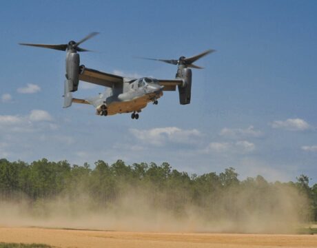 Osprey